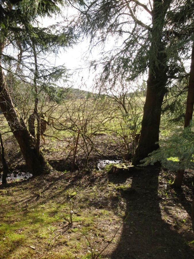 Ferienwohnung Wandervogel Braunlage Buitenkant foto