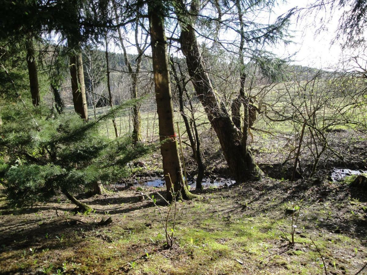 Ferienwohnung Wandervogel Braunlage Buitenkant foto